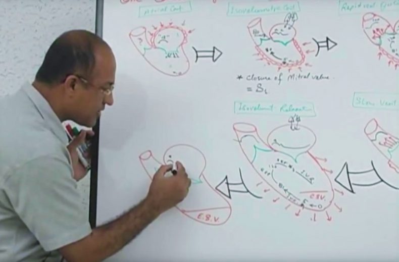 cardiac cycle notes
