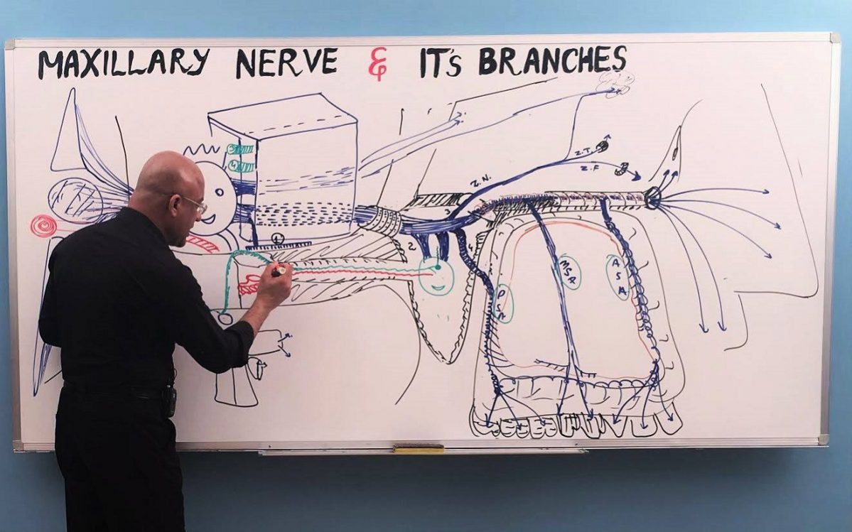 dr najeeb embryology lectures dr najeeb embryology lectures
