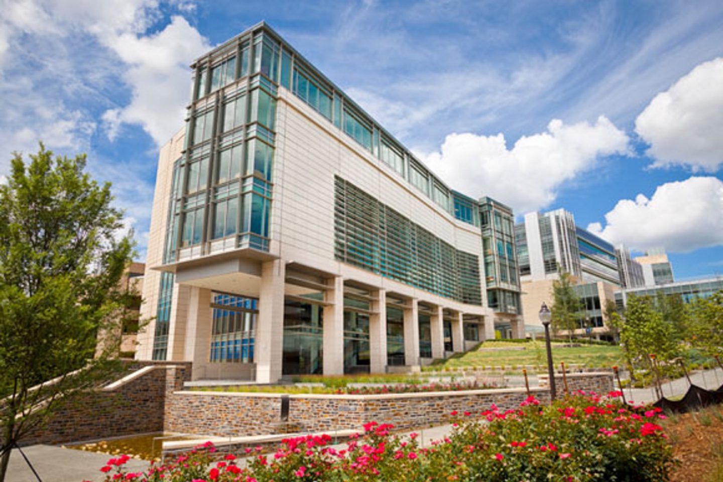 Duke University School of Medicine