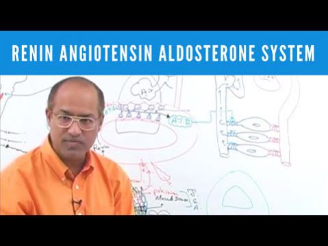 watch dr najeeb lectures online free watch dr najeeb lectures online free