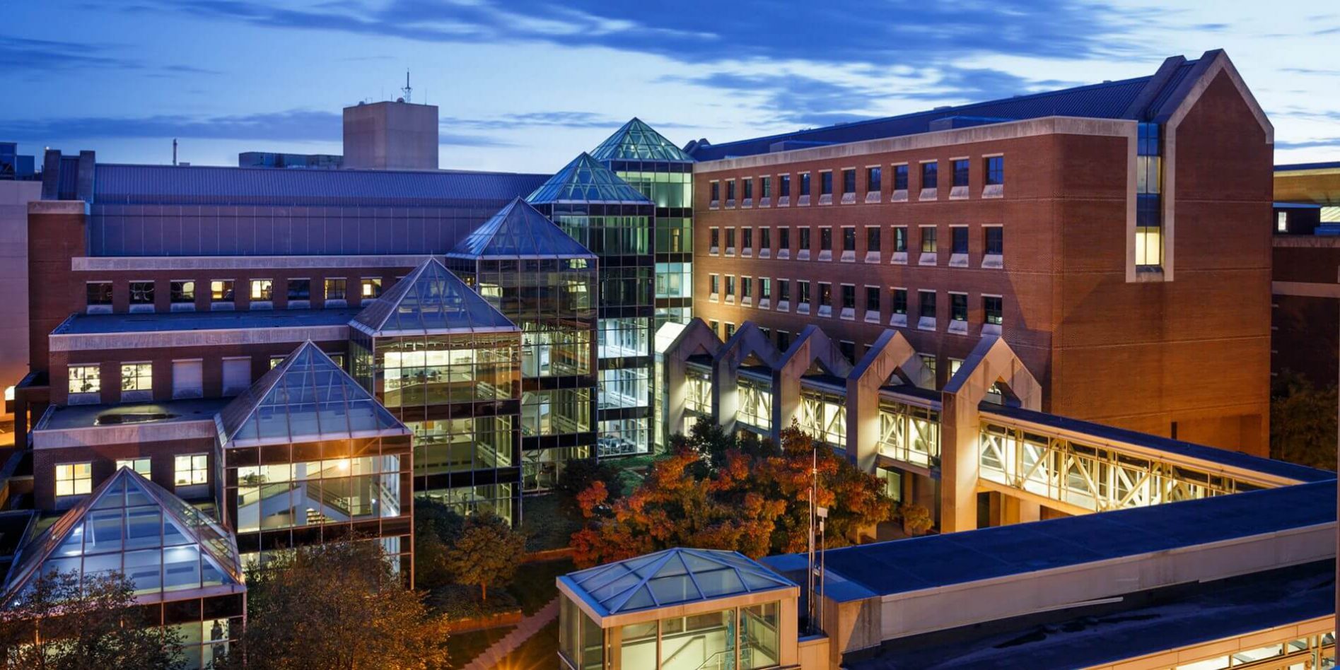 Indiana University School Of Medicine Dr Najeeb Lectures visit-bloomington-about-us-kelley-school-of-business-indiana-university