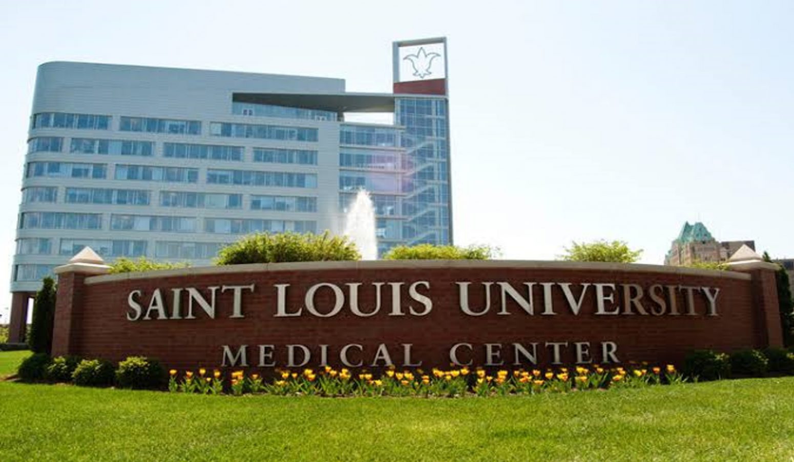 saint louis university school of medicine